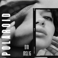 D1N, MSL16 - Polaroid